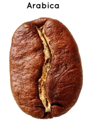 100% Arabica